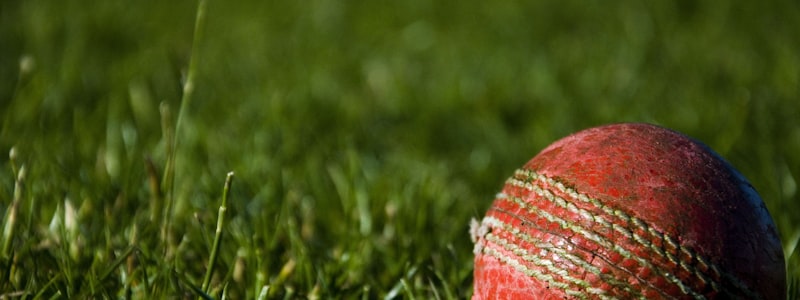 历届世界杯冠军奖杯陈列展示 - 金光闪闪的大力神杯居于中央