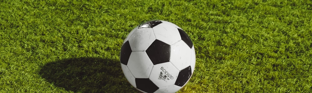 2026世界杯淘汰赛进程图可视化展示 - 树状图显示各队晋级路径